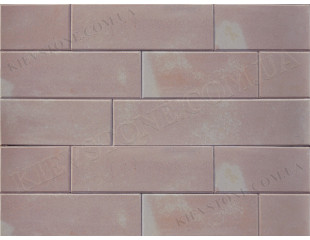 Sandstone pink Brushed 10хLх3cm