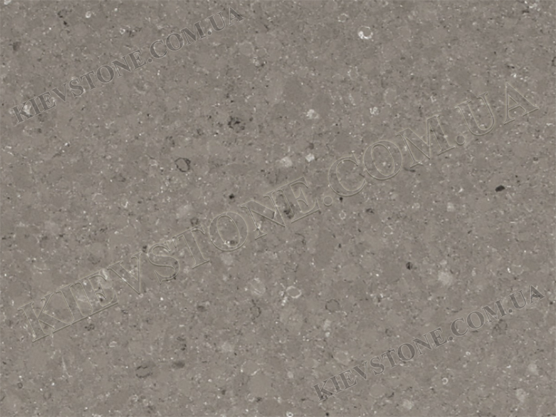 Quartz CAESARSTONE SHITAKE KievStone